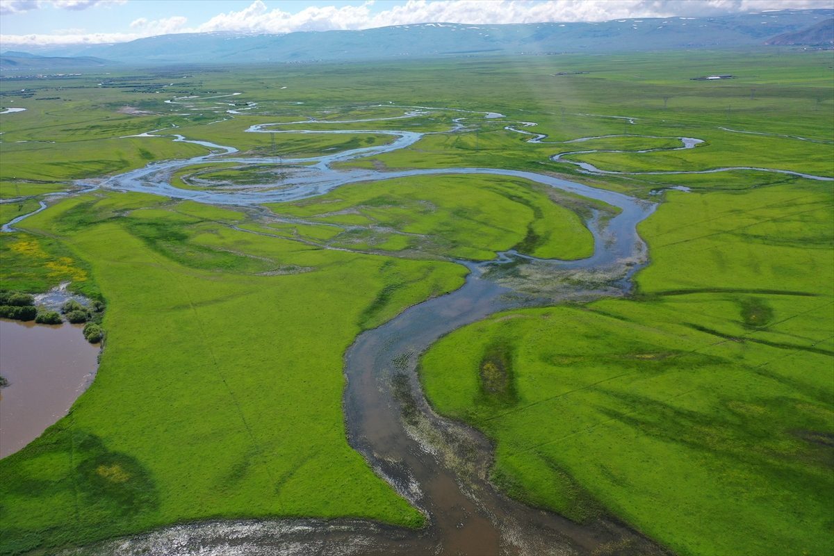 Ardahan’da yeşile bürünen Kura Nehri’nin menderesleri FPV dronla görüntülendi