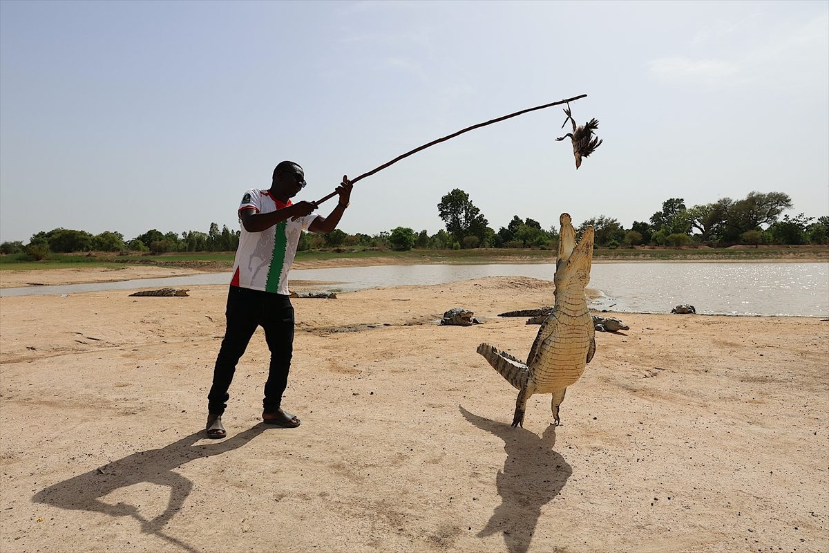 Burkina Faso’daki “timsahlı köy” ziyaretçilerin ilgisini çekiyor