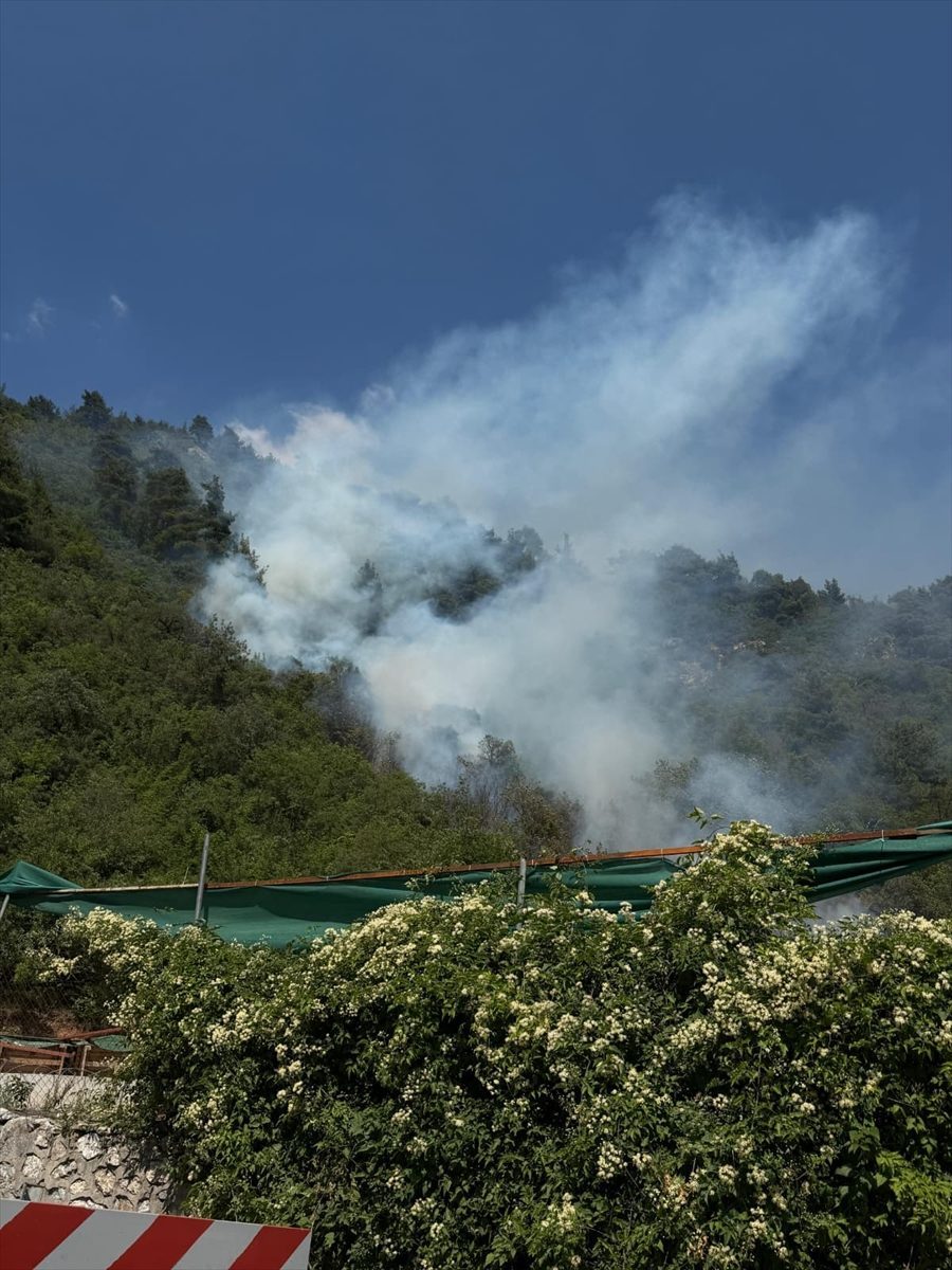Bursa’da çıkan orman yangınına müdahale ediliyor