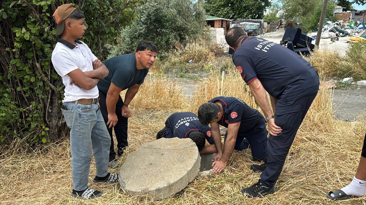 Büyükçekmece’de rögara düşen yavru köpek itfaiyenin çalışmasıyla kurtarıldı