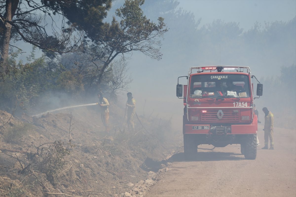 Çanakkale’de ormanlık alanda çıkan yangına müdahale ediliyor