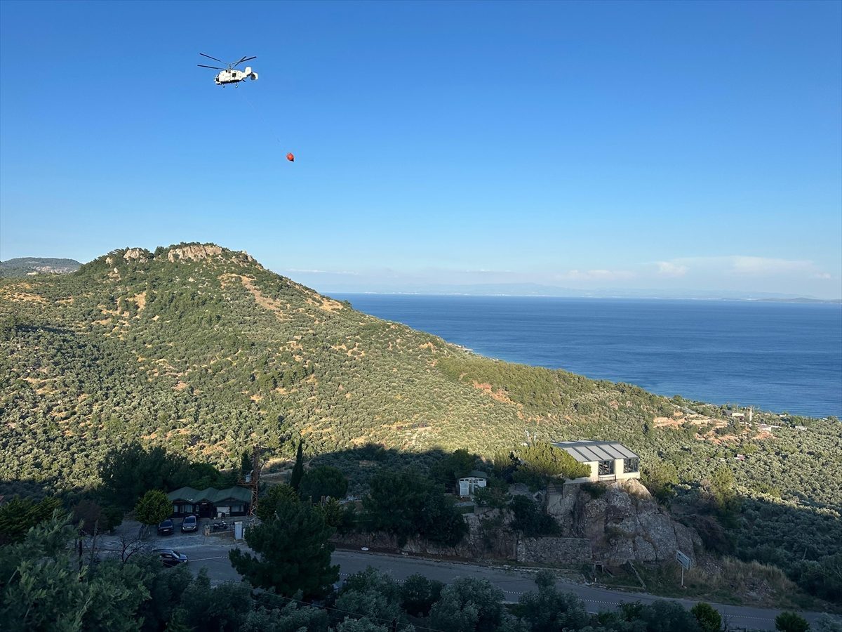 Çanakkale’de zeytinliklerin bulunduğu zirai alanda çıkan yangın söndürüldü