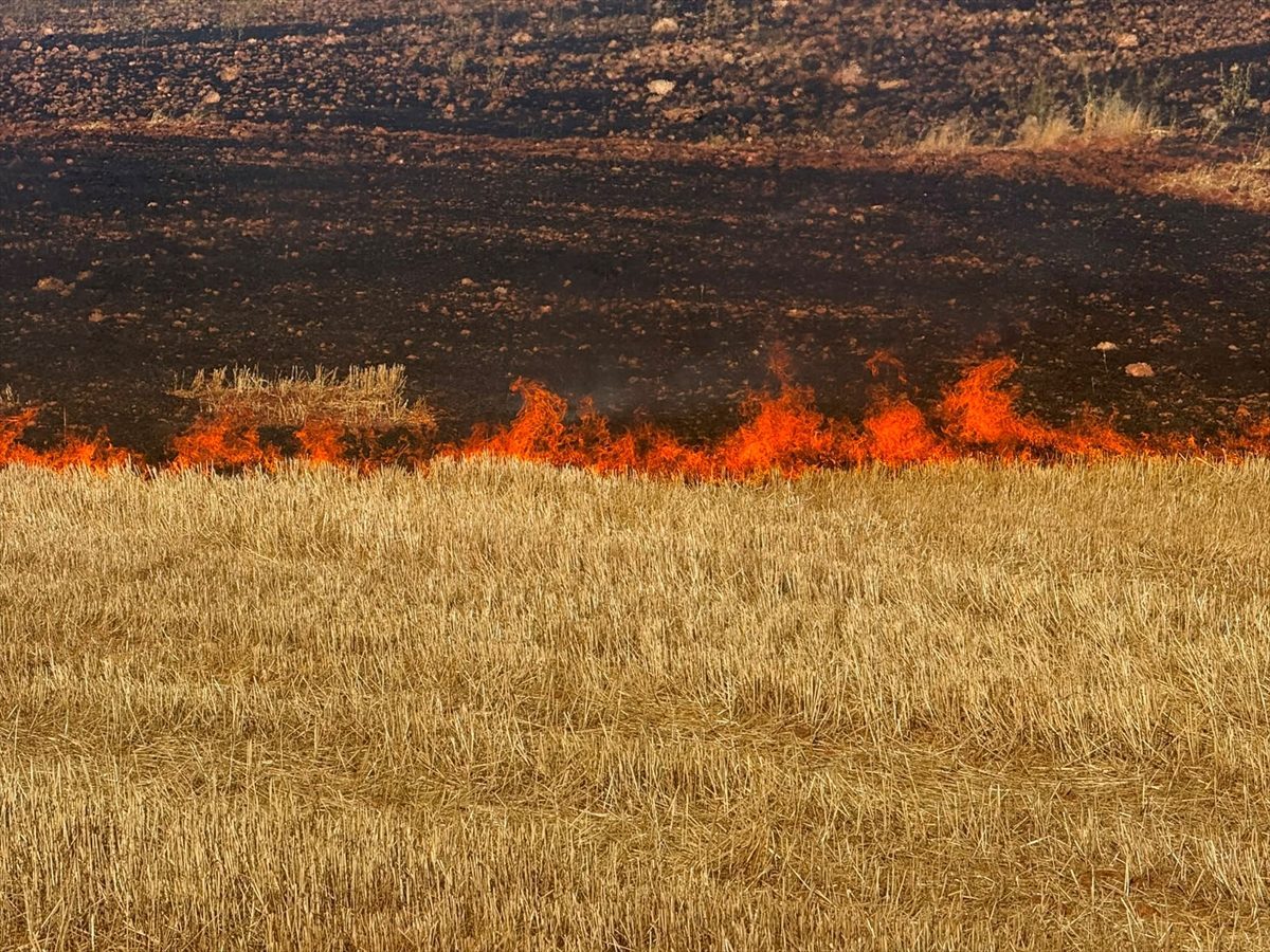 Diyarbakır’da çıkan örtü ve anız yangını söndürüldü