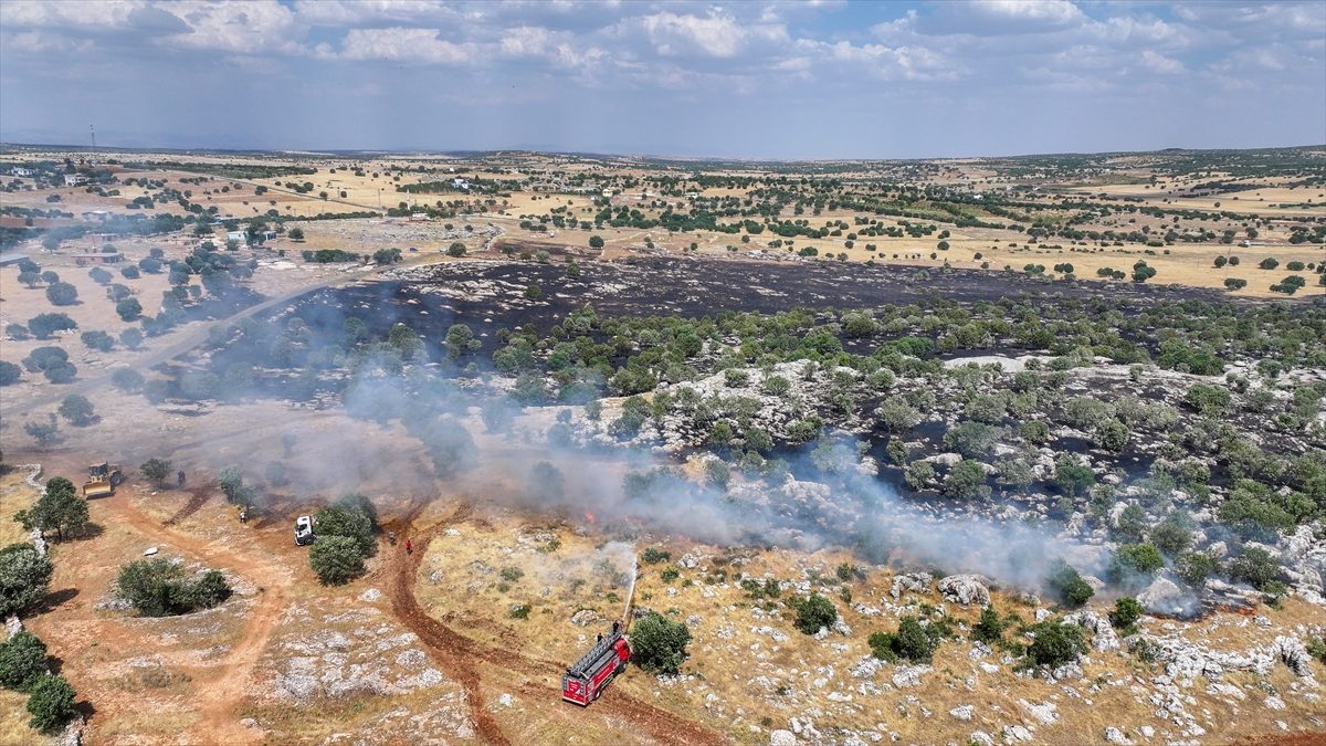 Diyarbakır’ın Eğil ilçesinde çıkan örtü yangını söndürüldü