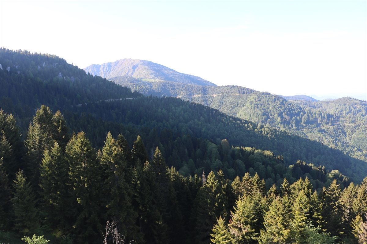 Doğanın, mitolojinin ve lezzetin buluşma noktası: Giresun