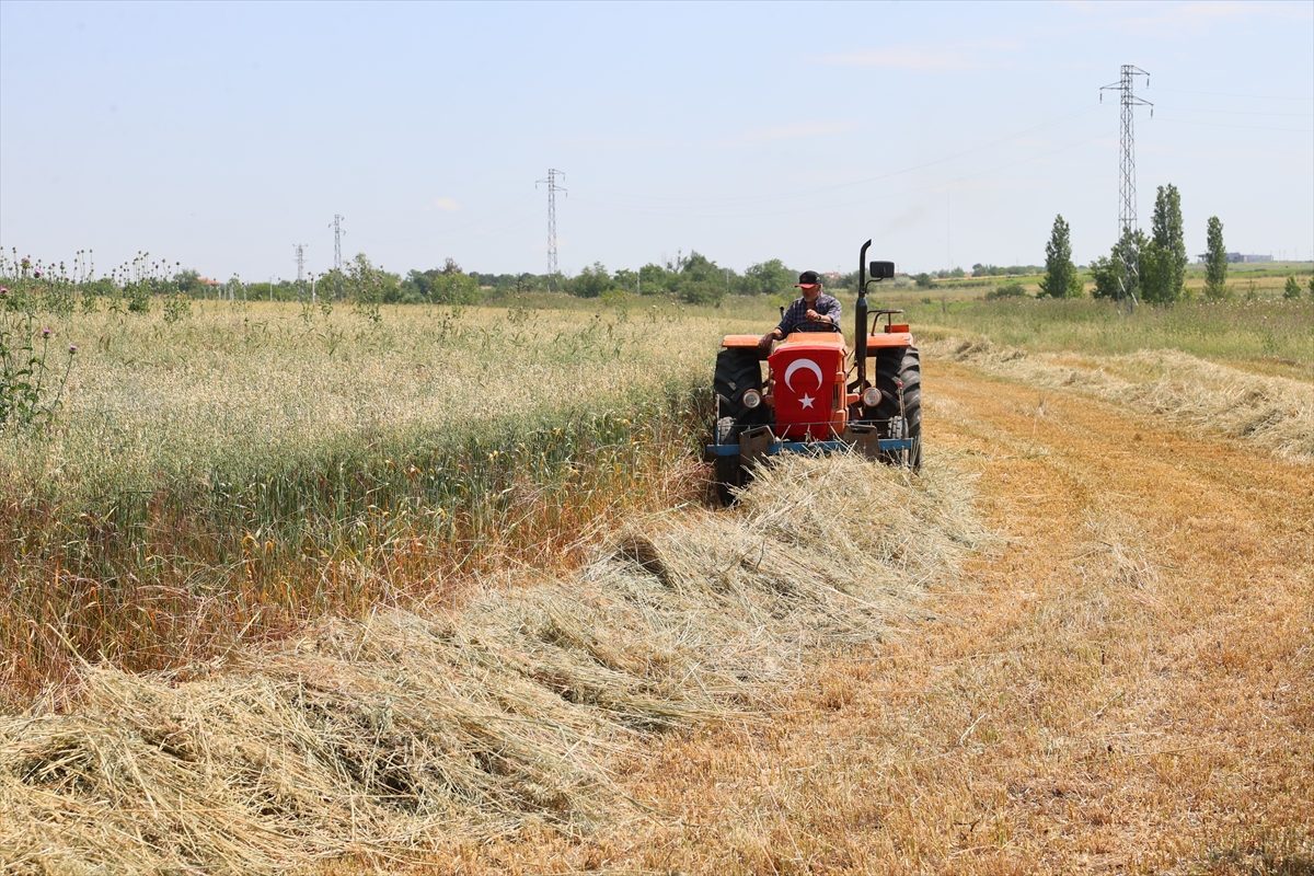 Edirne’de meralar üreticiye destek amaçlı ıslah ediliyor