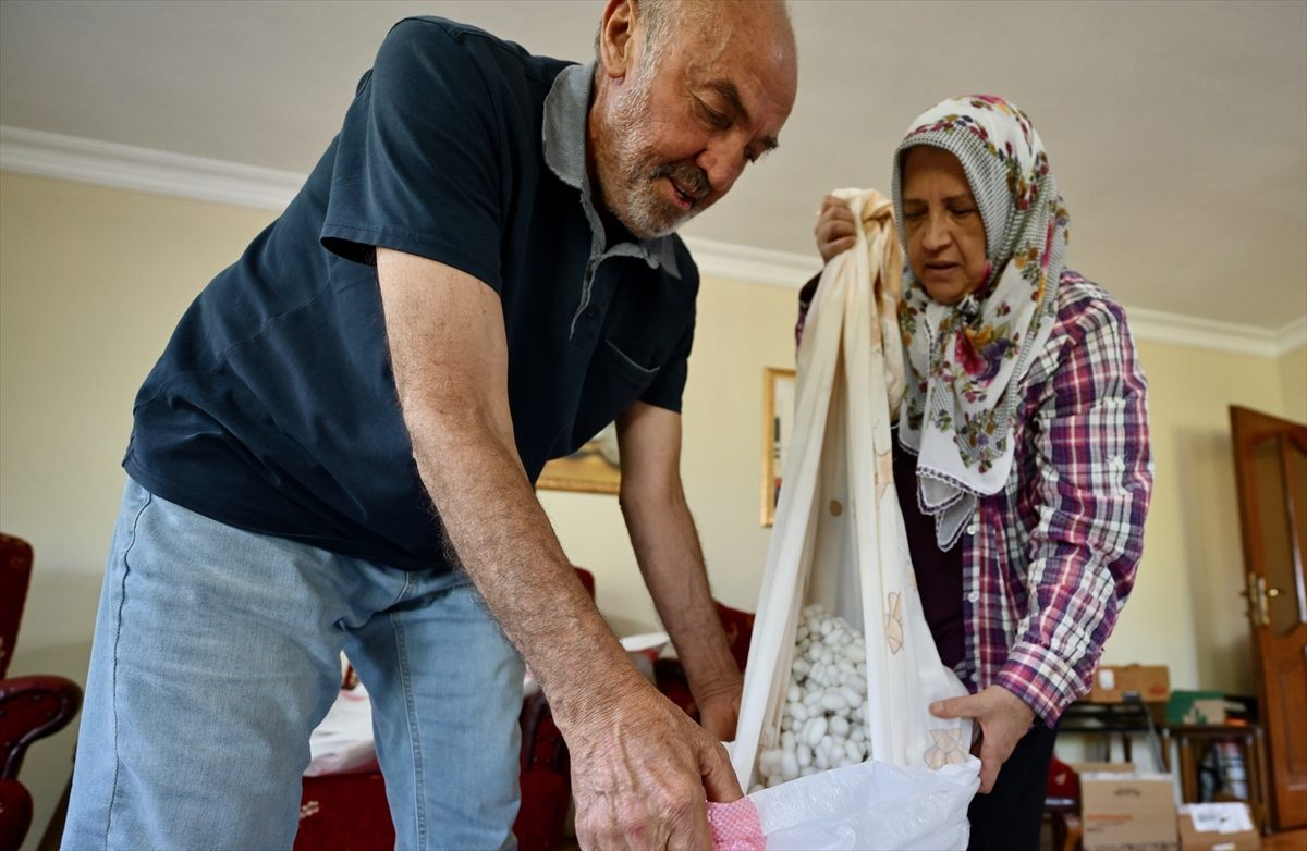 Emekli öğretmen, ipek böceği yetiştiriciliği hobisini gelir kapısına dönüştürdü