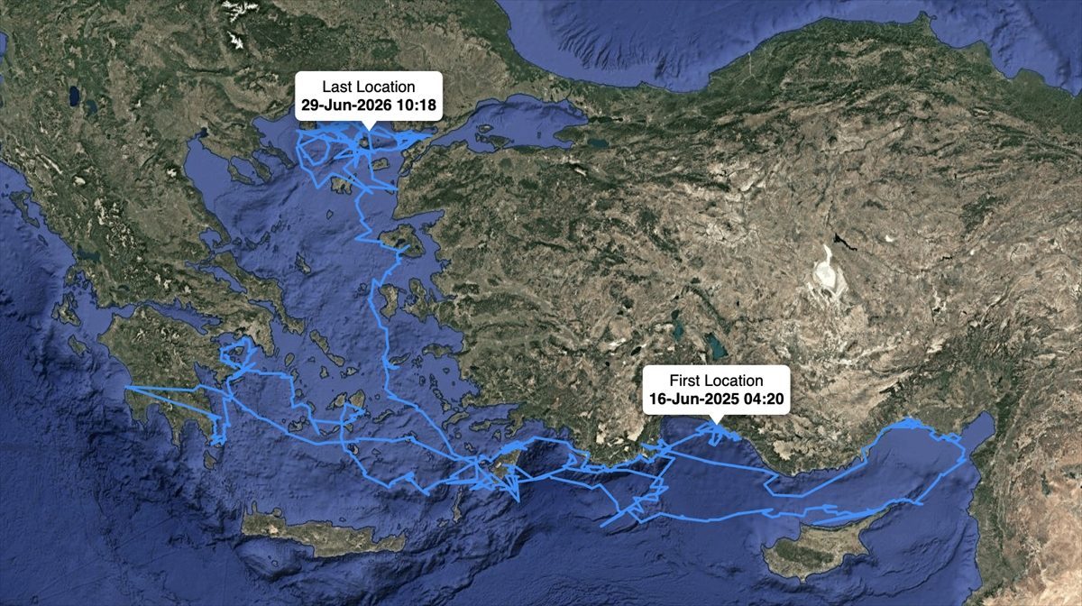 GRAFİKLİ – Uydudan izlenen “Altın”, “Gümüş”, “Flora” ve “Fauna” binlerce kilometre katetti