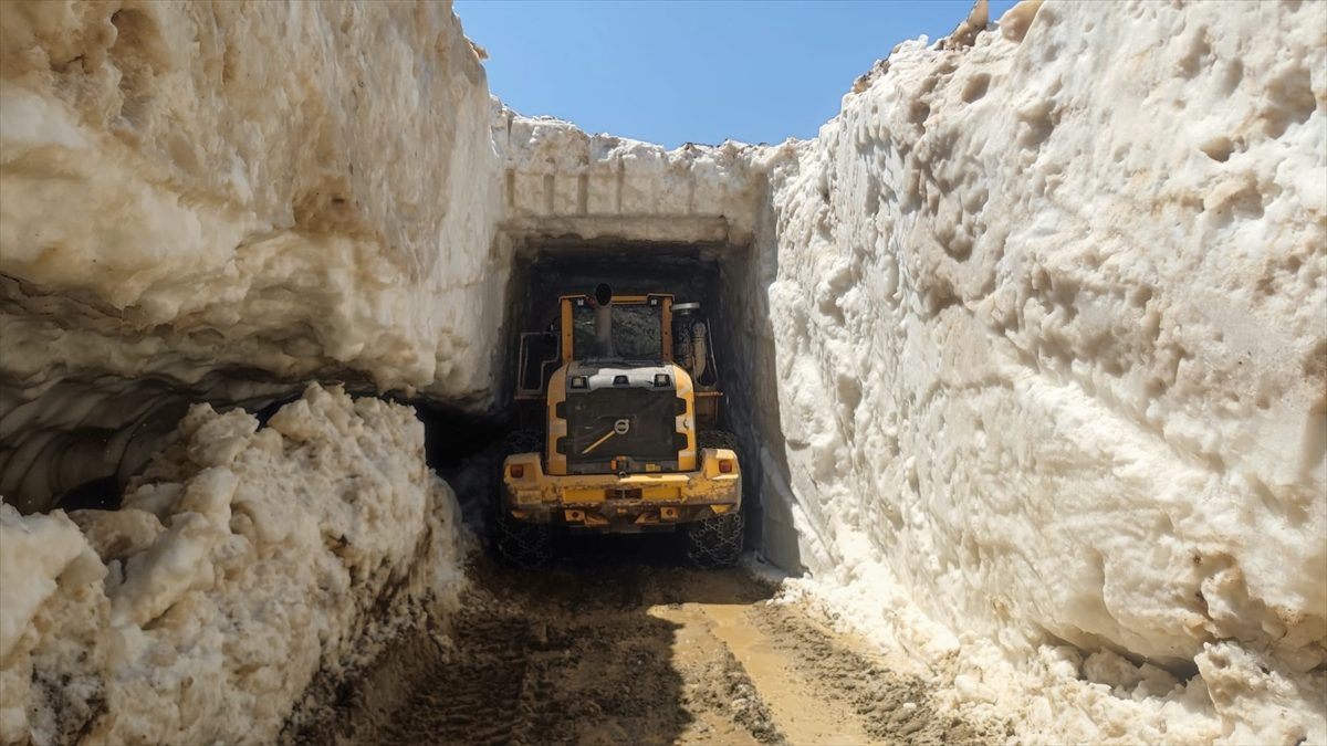 Hakkari’de haziranda karla mücadele çalışması