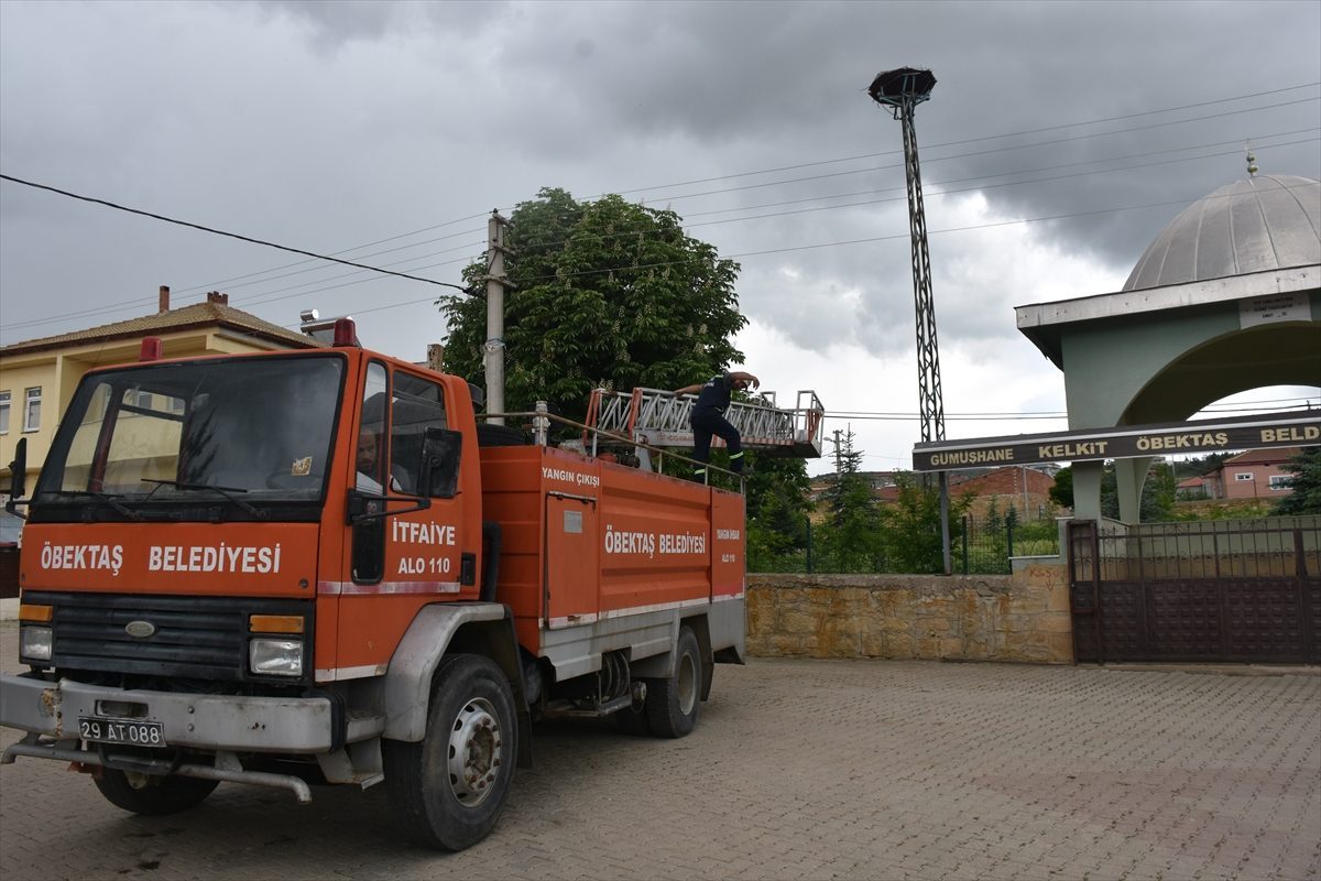 İtfaiye ekipleri anne leyleğin yavrularını beslemesine yardım ediyor