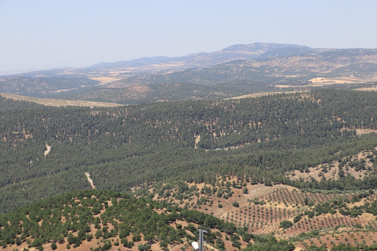 Kilis’te ormanlar yangın riskine karşı jandarma tarafından denetleniyor