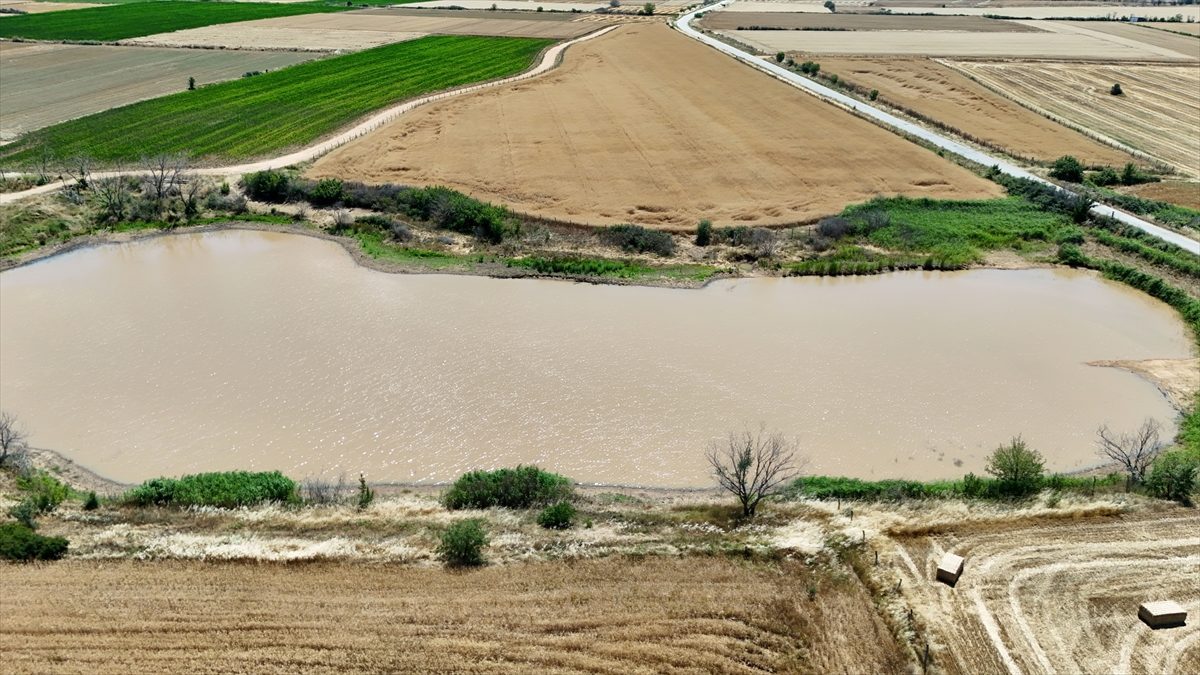 Kırklareli’nde Sazlık Göleti’nin doluluk oranı yağışlarla arttı