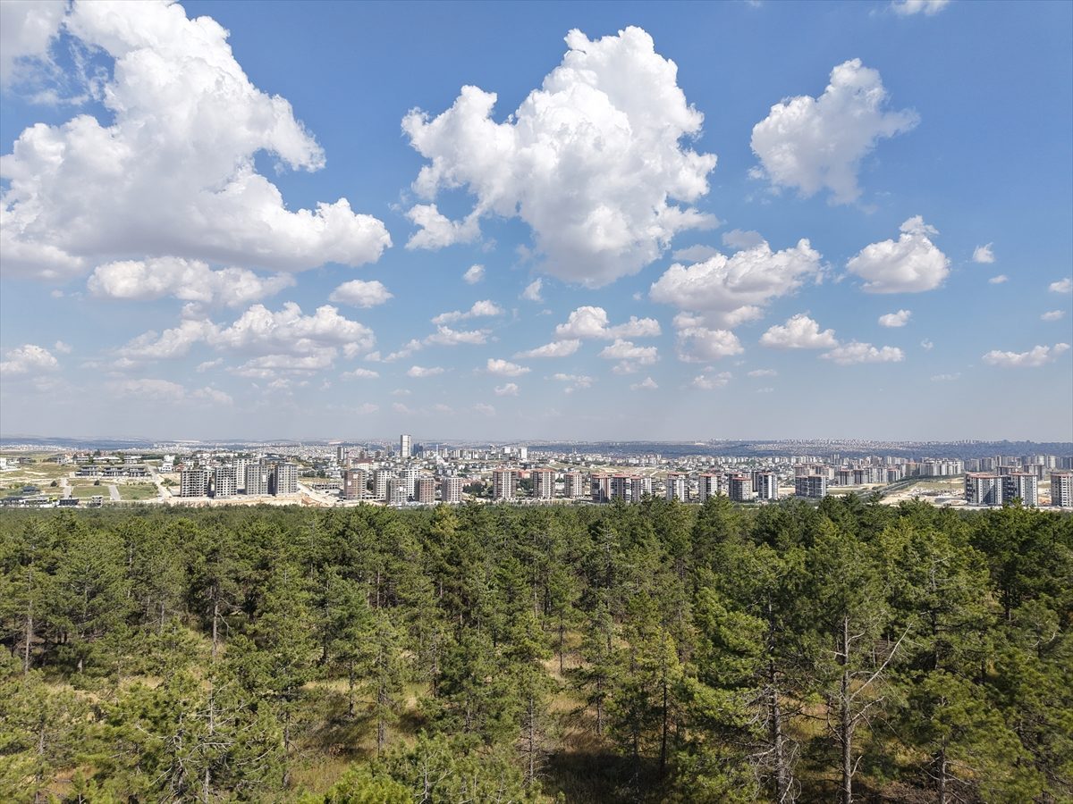 Manisa ve Gaziantep’teki iki alan tabiat parkı ilan edildi
