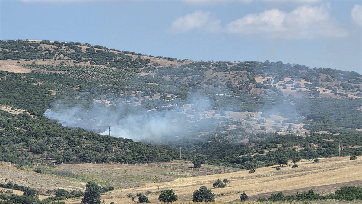 Manisa’da makilikte çıkan yangın kontrol altına alındı