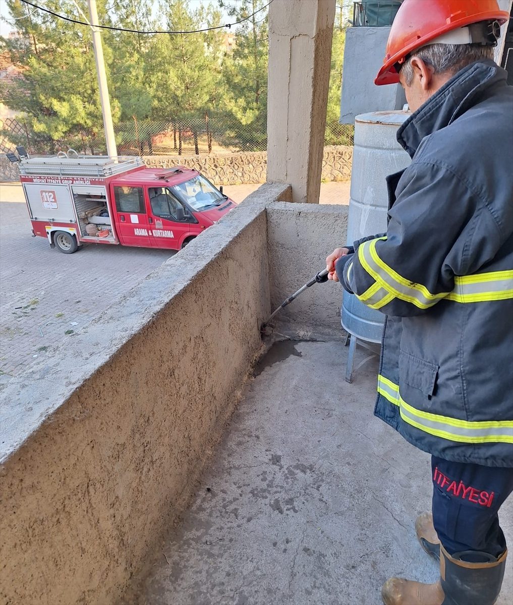 Mardin’de evlere giren yılanlar itfaiye ekiplerince yakalandı