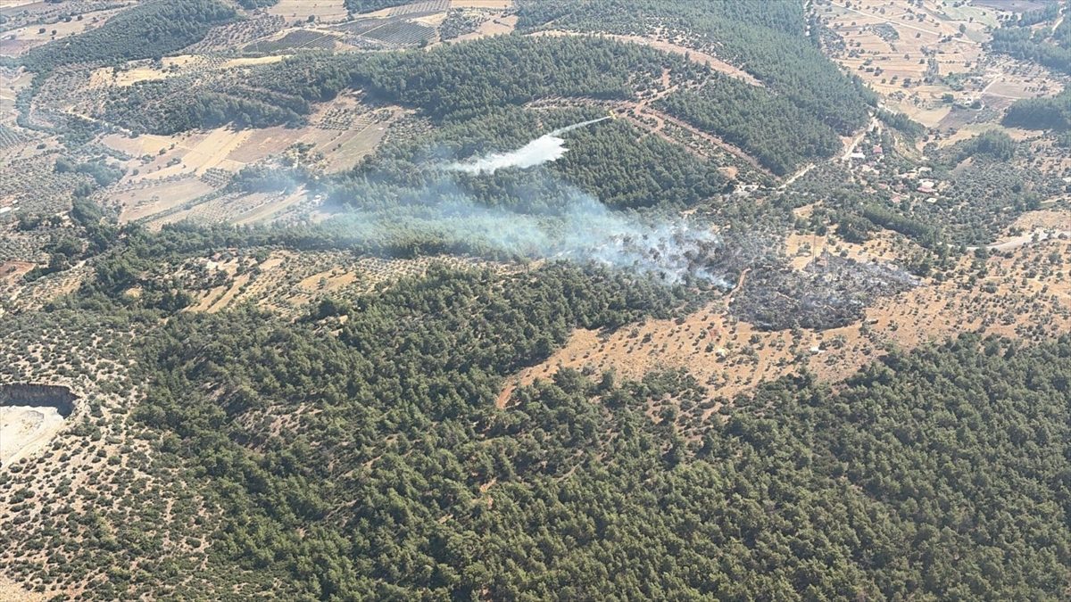 Muğla’da ziraat alanında çıkan yangın kontrol altına alındı