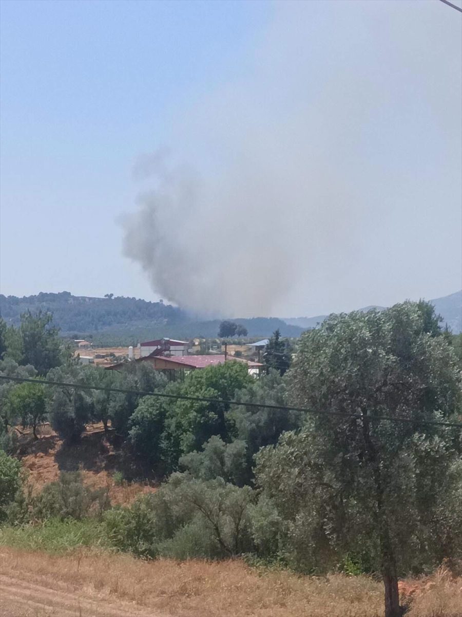 Muğla’nın Seydikemer ilçesinde orman yangını çıktı