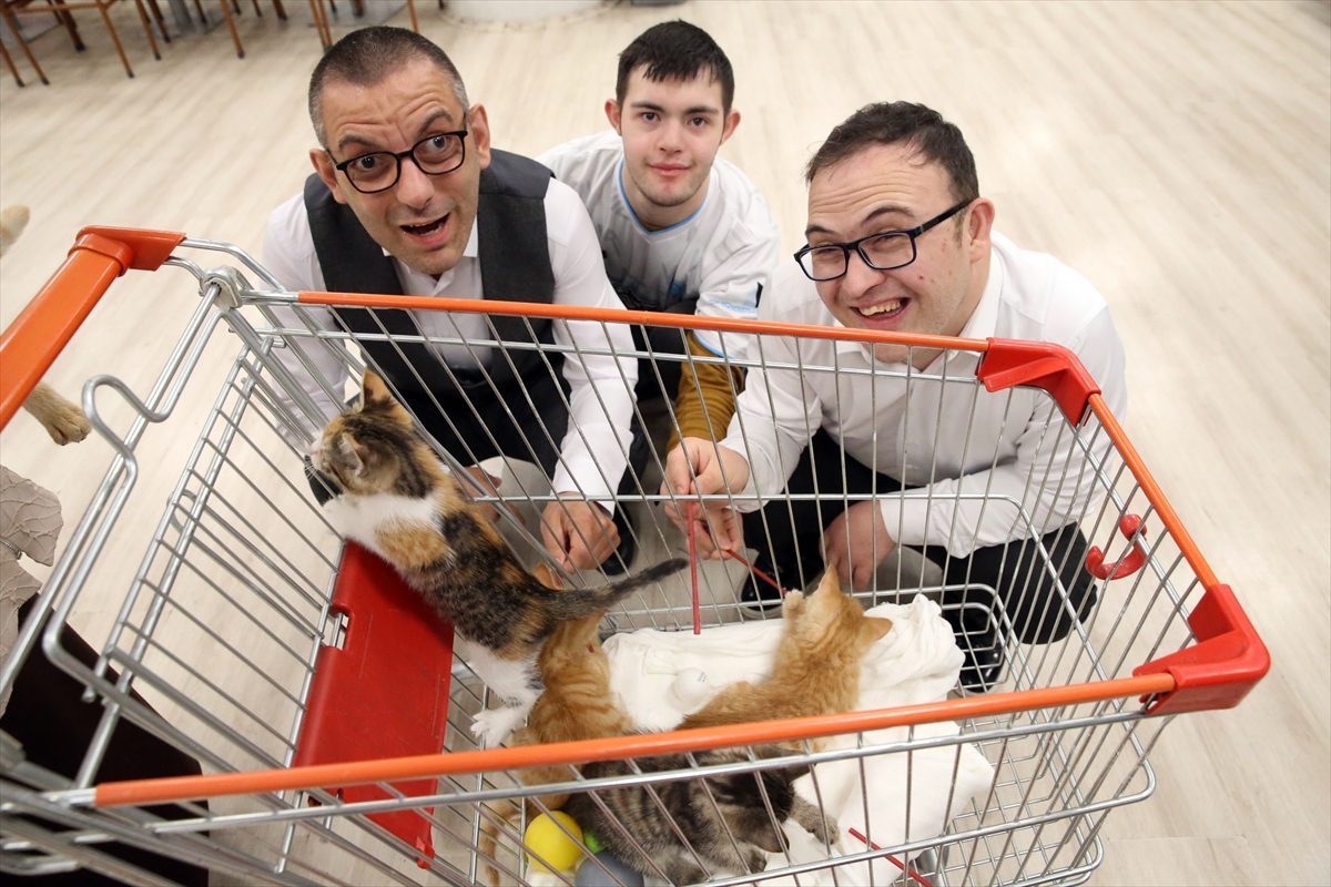 Mutlu Kafe’nin kedi yavruları özel bireylerin mutluluk kaynağı oldu
