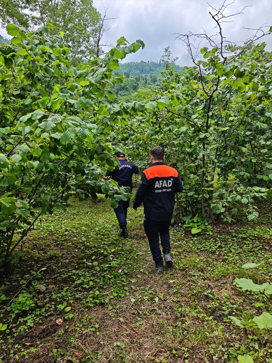 Ordu’da dereye düşen kişi öldü