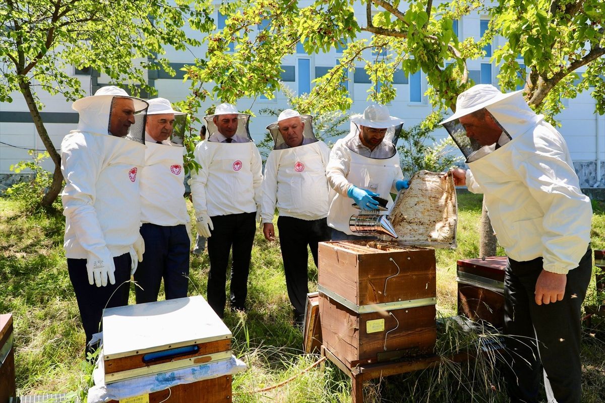 Ordu’dan İngiltere’ye 17 tonu aşkın bal ihraç edildi