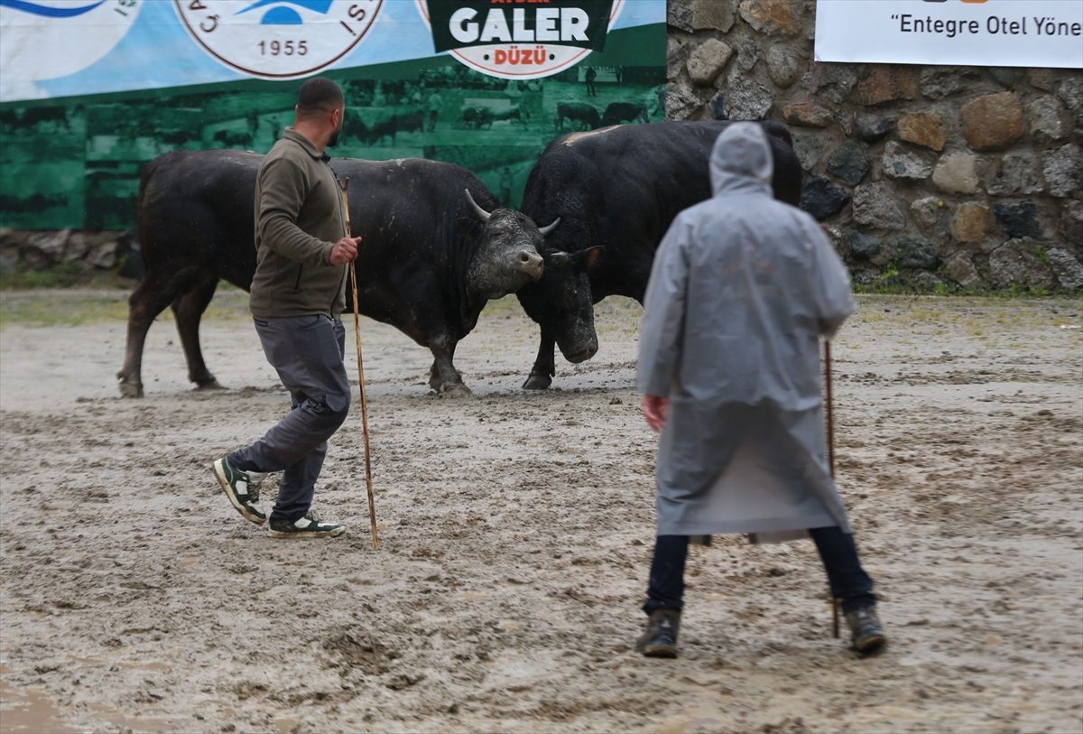Rize’de “30. Çamlıhemşin Ayder Kültür, Sanat ve Doğa Festivali” başladı