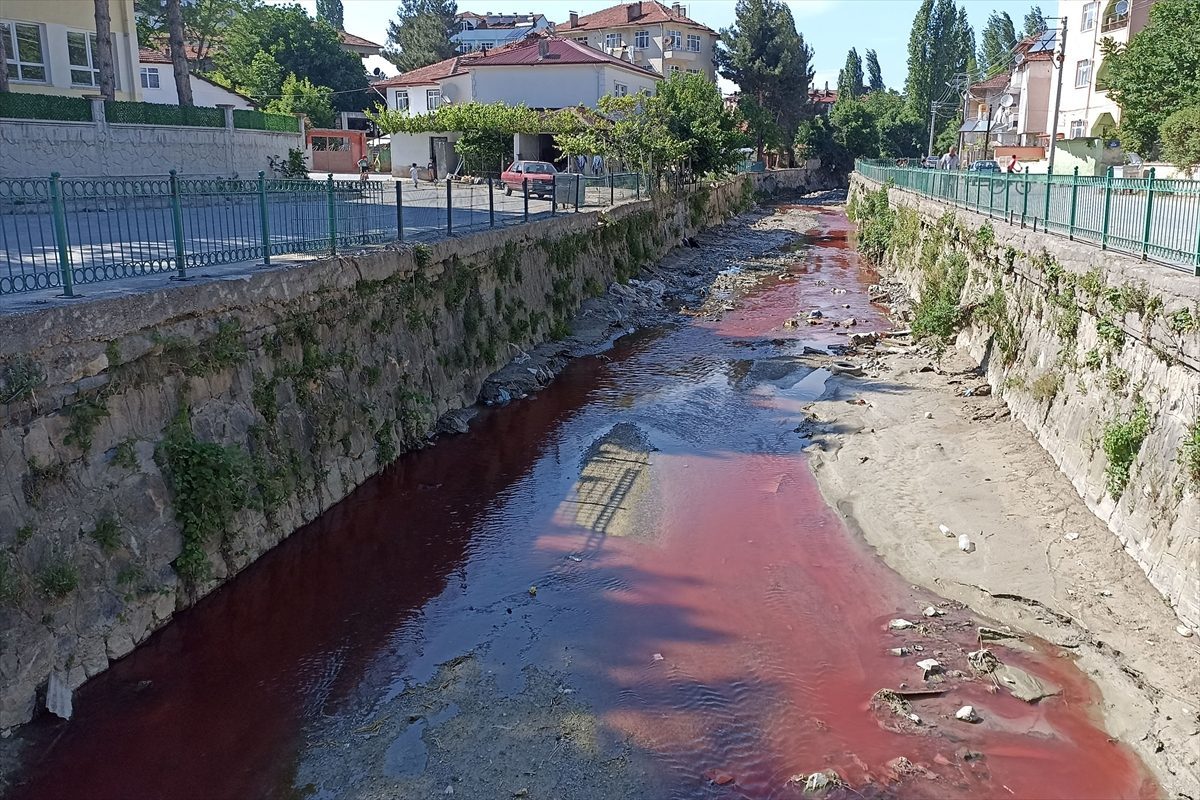 Samsun’da dereyi zirai ilaç ile kirleten işletmeye suç duyurusu