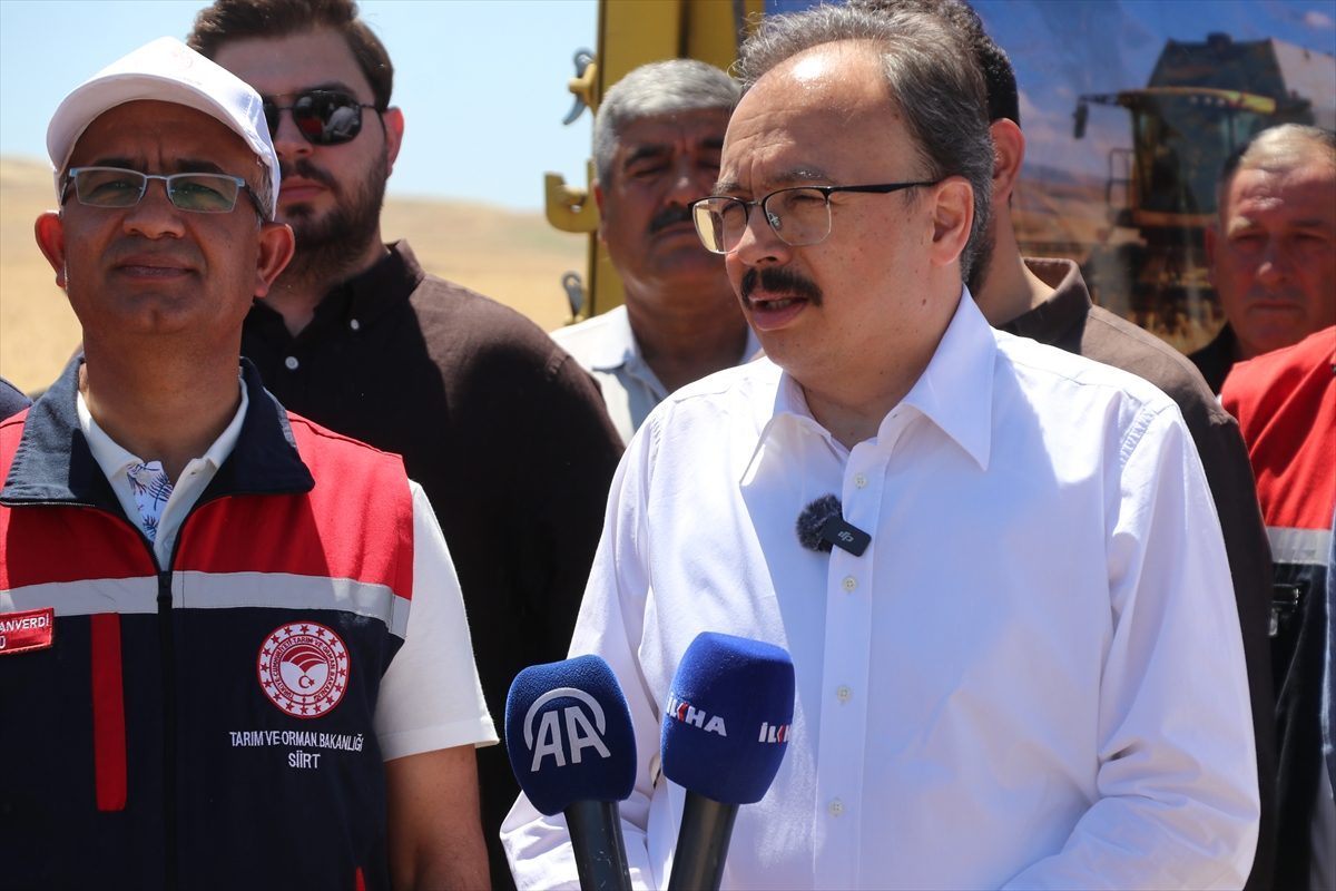 Siirt’te buğday hasat şenliği düzenlendi