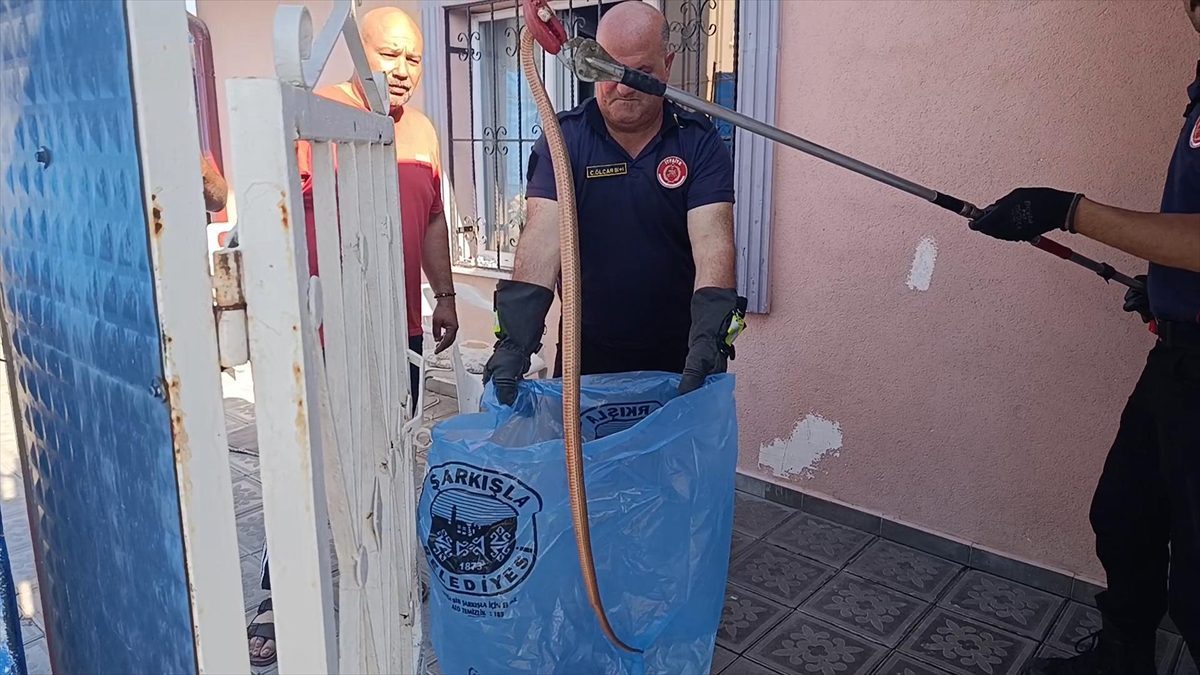 Sivas’ta eve giren yılanı itfaiye ekipleri yakaladı