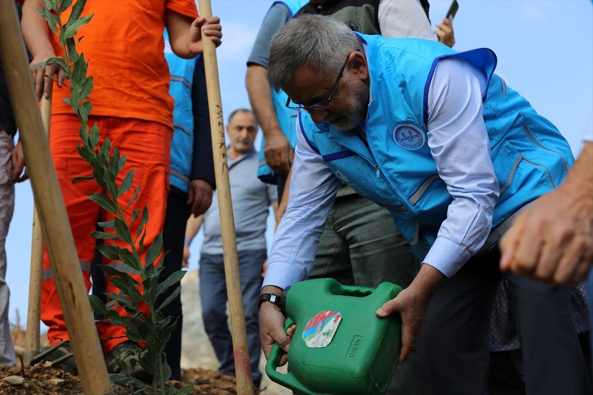 TDV’nin “1 İyilik 1 Fidan” kampanyası kapsamında 915 bin 235 fidan toprakla buluştu