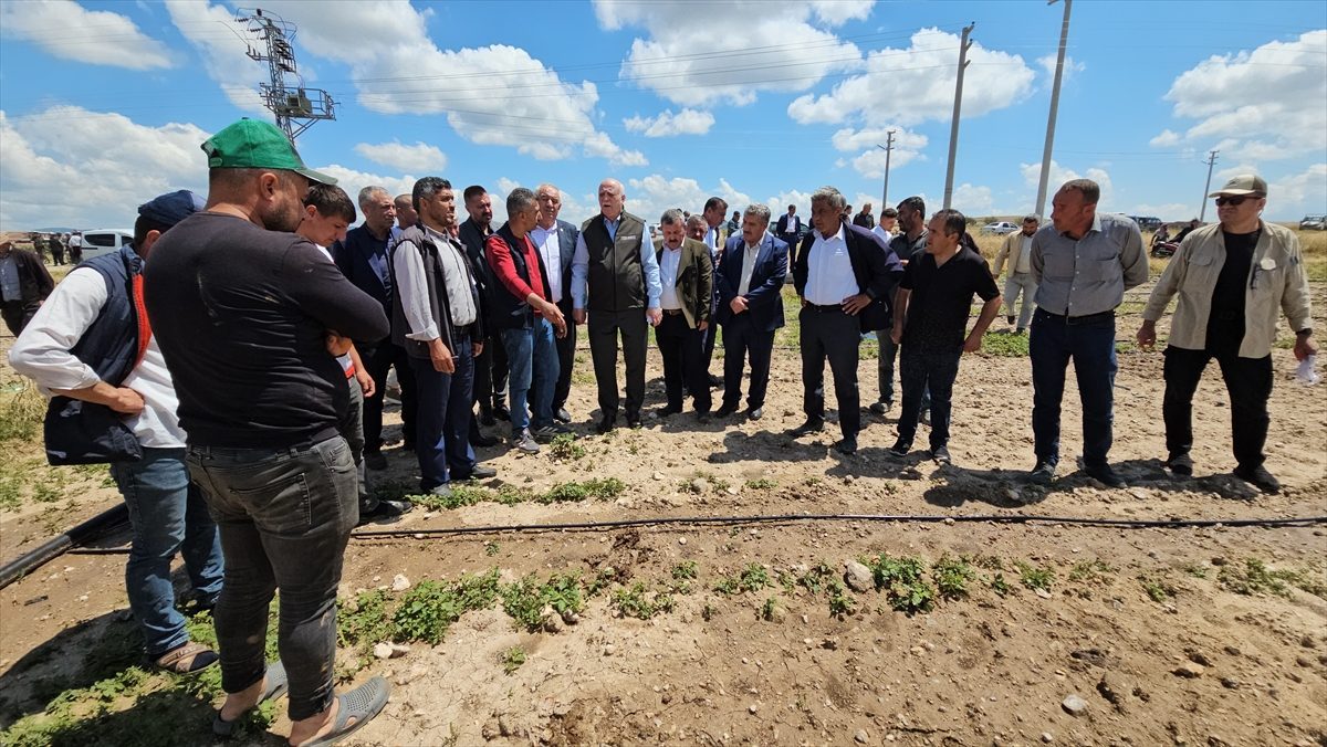 TZOB Genel Başkanı Bayraktar, tarım arazilerinde incelemelerde bulundu: