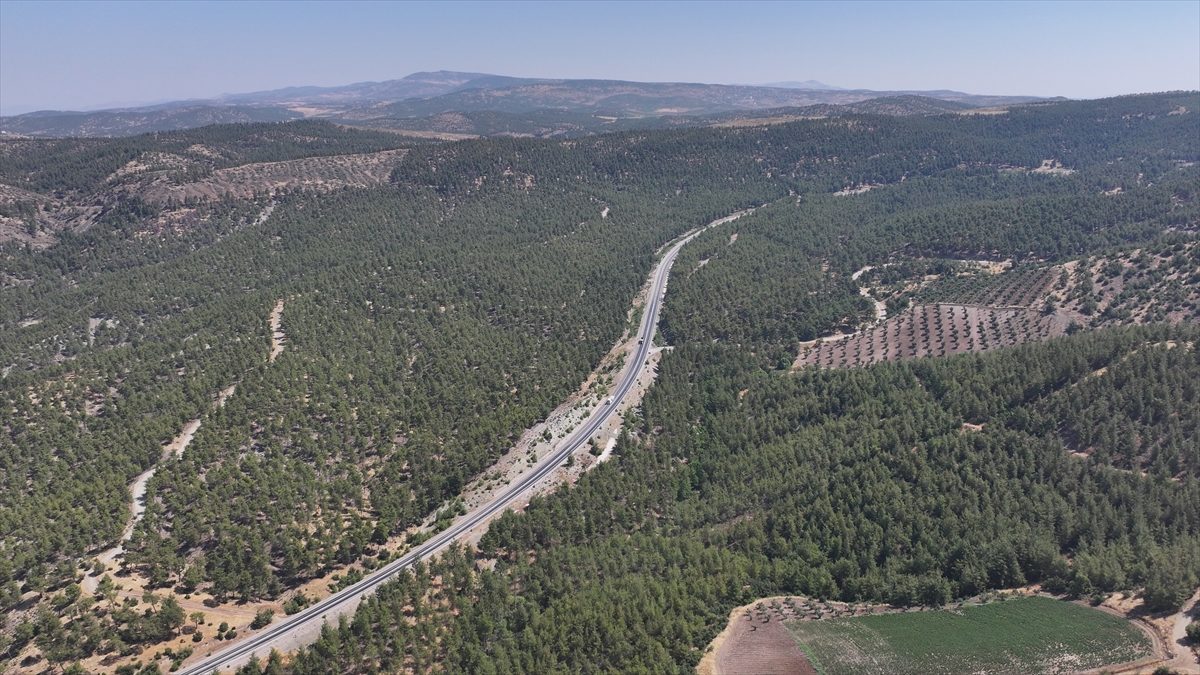 25 yıldır 850 metre rakımda “yeşil vatan” nöbeti tutuyor
