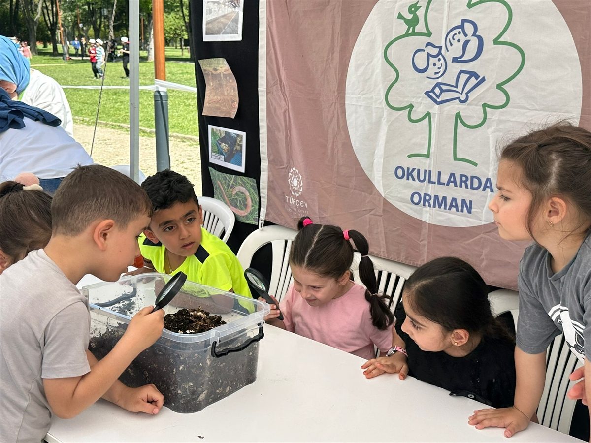 267 okul “orman bayrağı” almaya hak kazandı