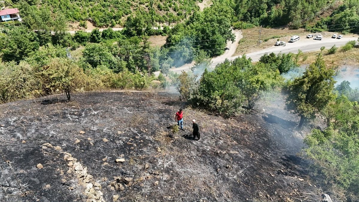 Adana’nın Feke ilçesinde orman yangını çıktı