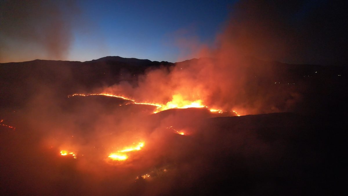 Adıyaman’da otluk alanda çıkan yangın ormana sıçradı