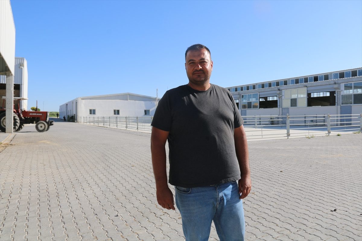 Aksaray’da devlet desteğiyle kurulan çiftlikte küçükbaş hayvan sayısı artıyor