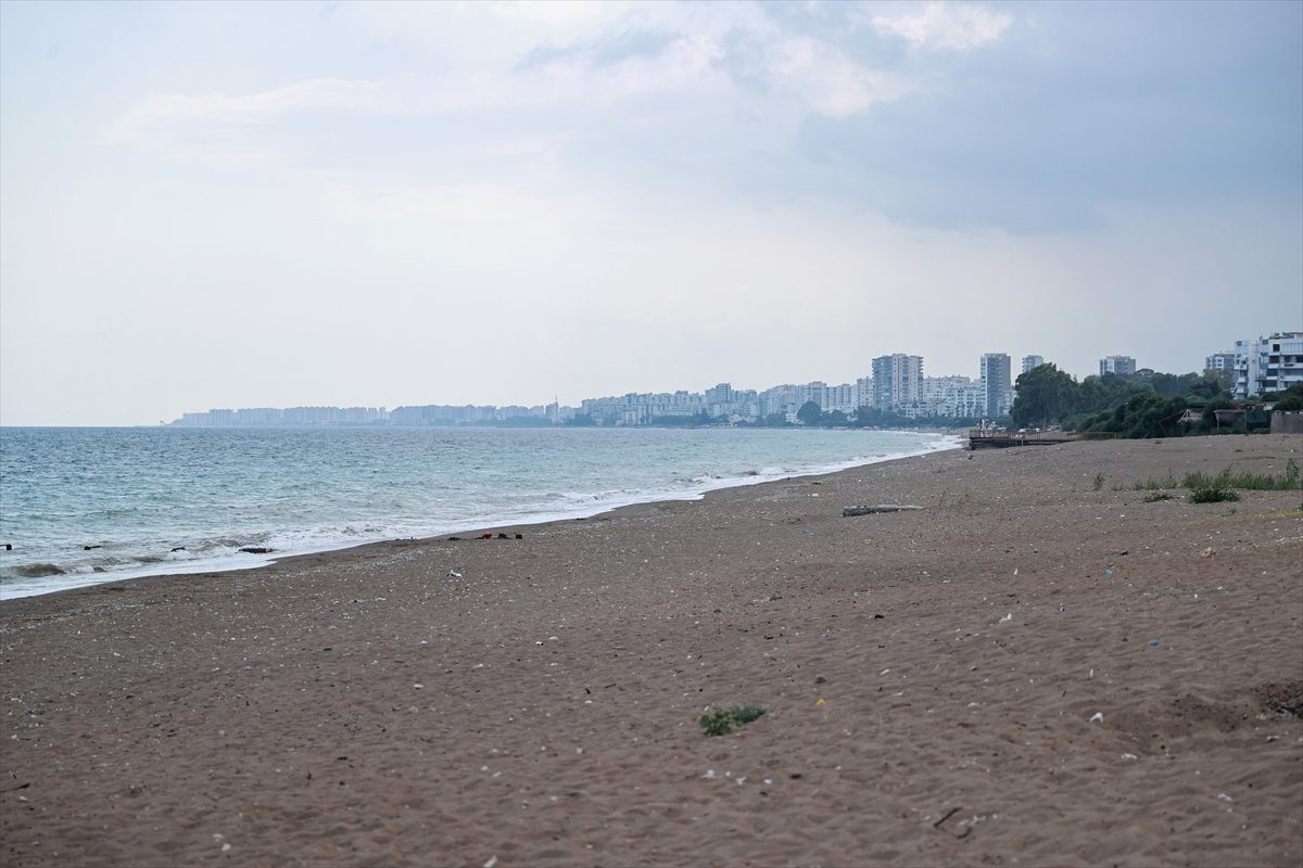 Anaç deniz kaplumbağaları Mersin sahillerine yumurta bırakmaya başladı