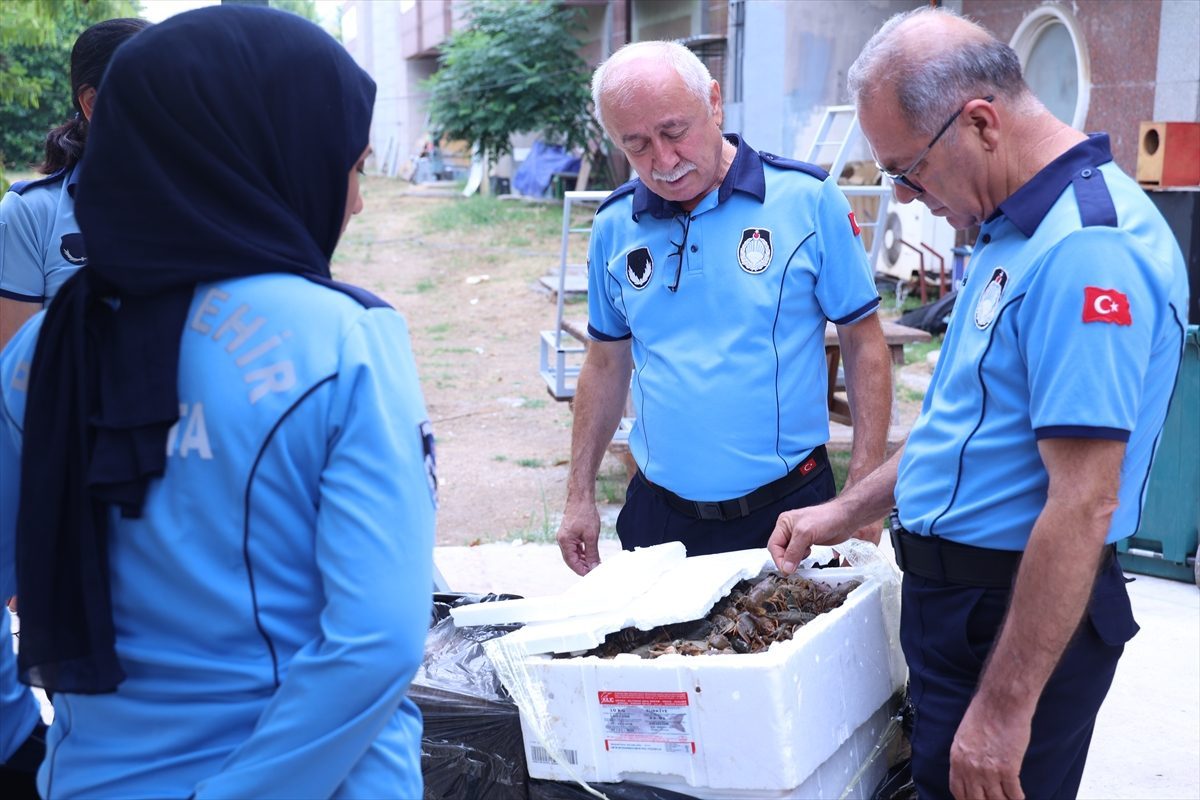 Antalya otobüs terminalinde kolilerde 90 kilogram kerevit bulundu