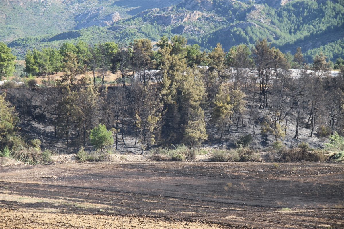 Antalya Serik’te çıkan orman yangını söndürüldü