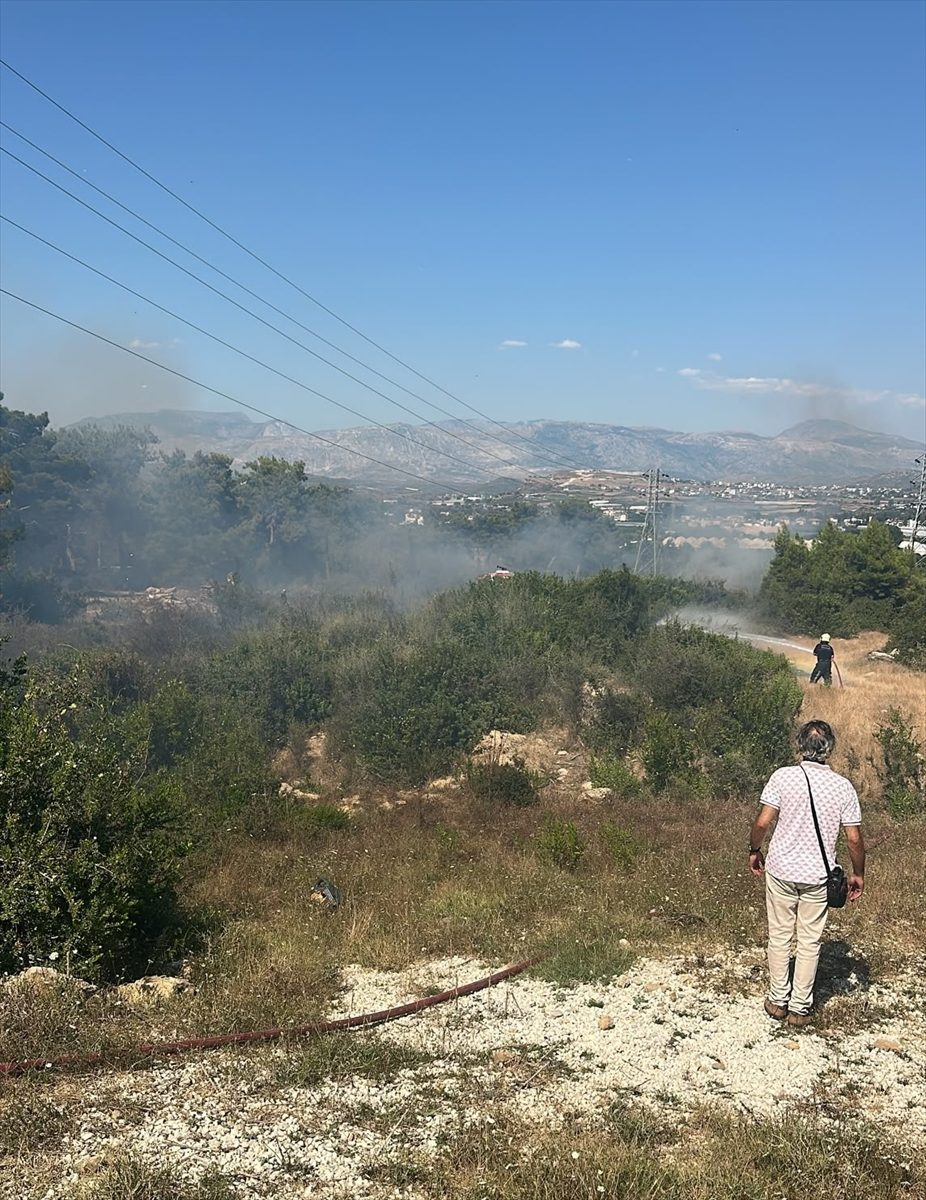 Antalya’da çıkan orman yangınında 3 dönüm alan zarar gördü