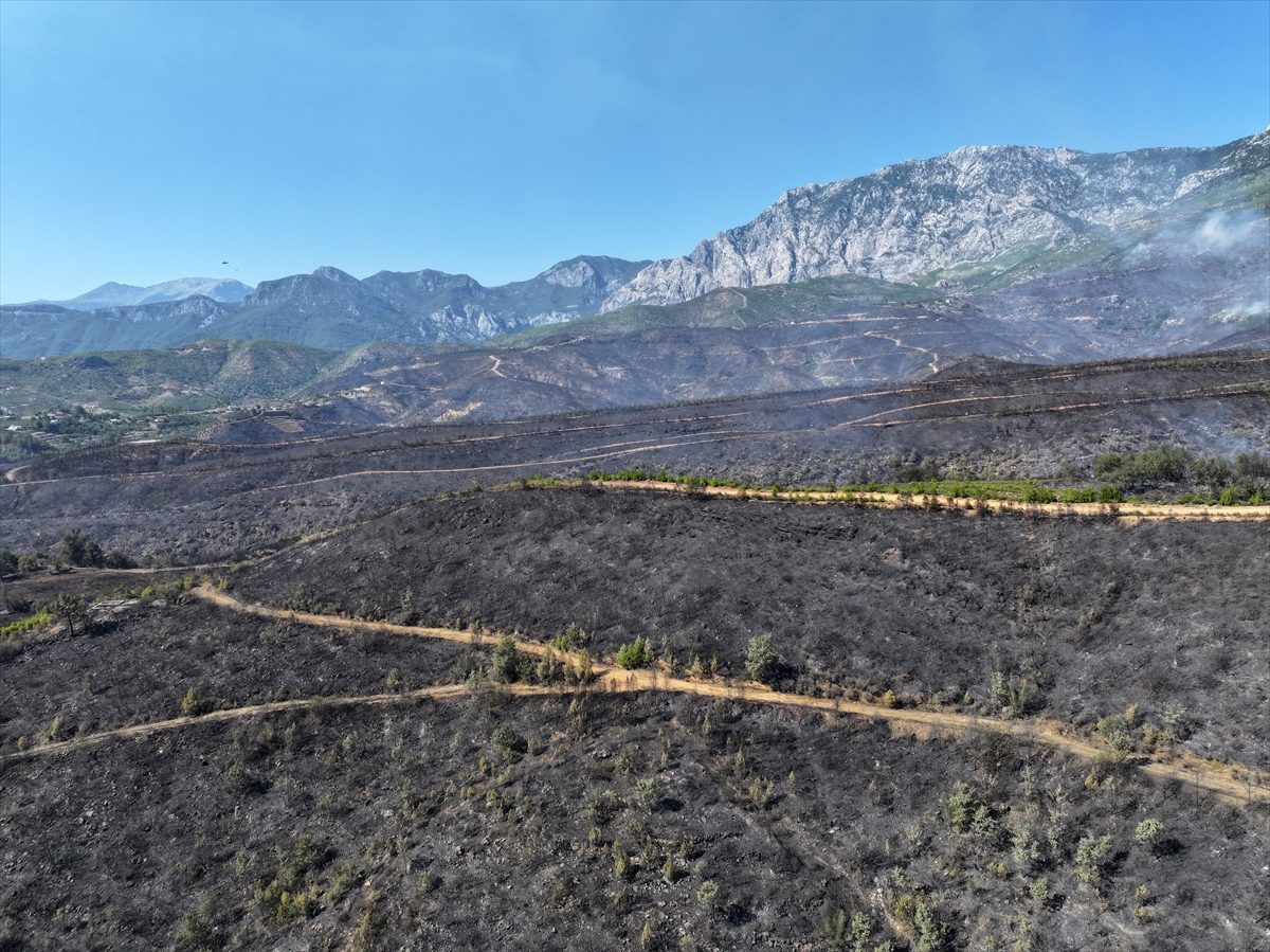 GÜNCELLEME 3 – Antalya’nın Alanya ilçesinde orman yangınına müdahale ediliyor