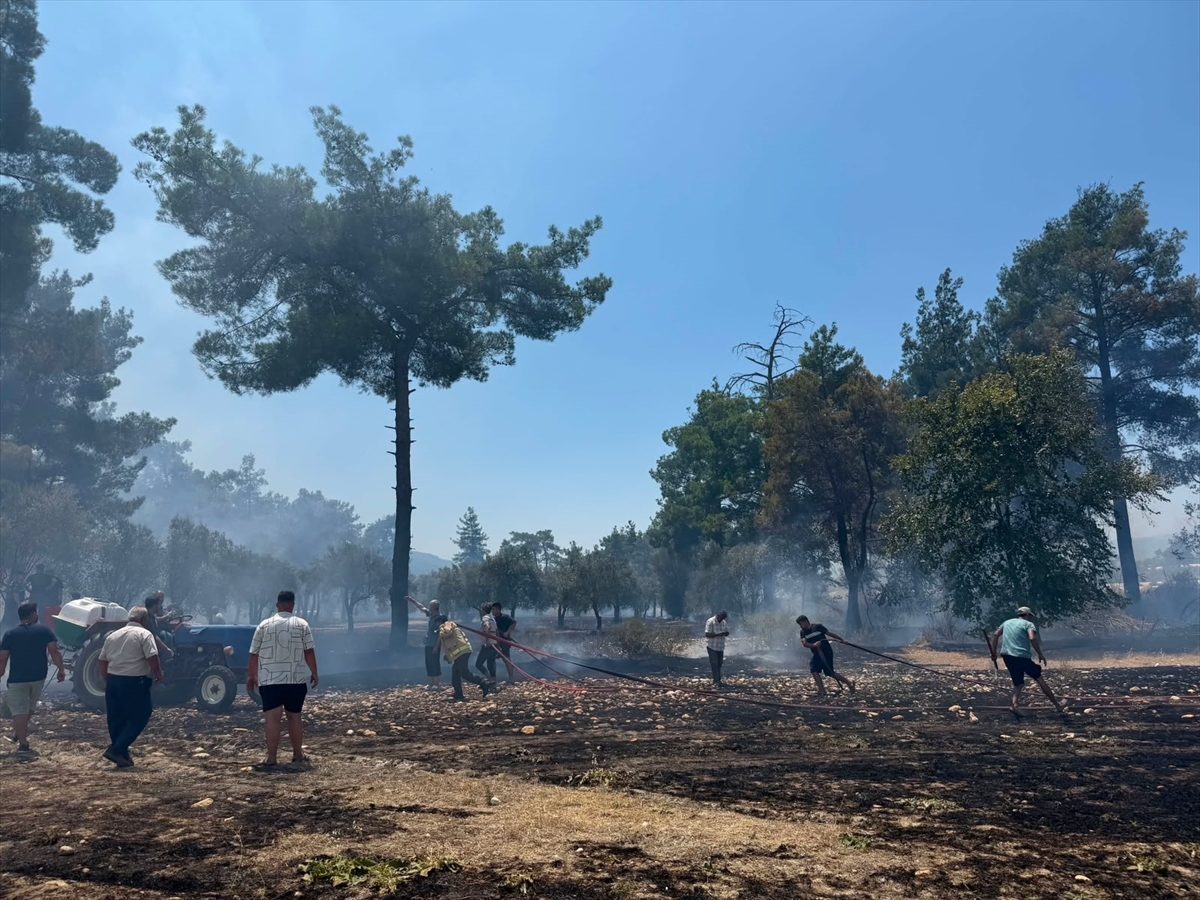 Antalya’nın Kaş ilçesinde ormanlık alanda yangın çıktı