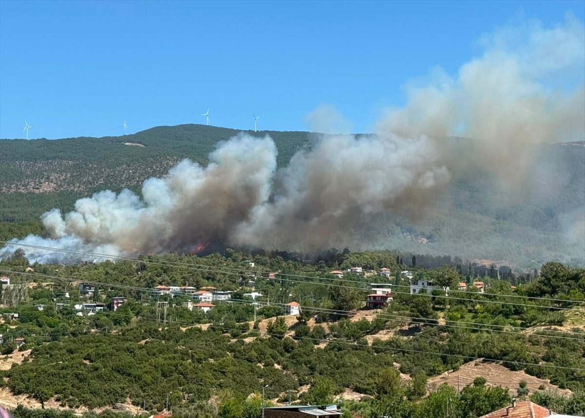 Aydın’da ormanlık alanda yangın çıktı