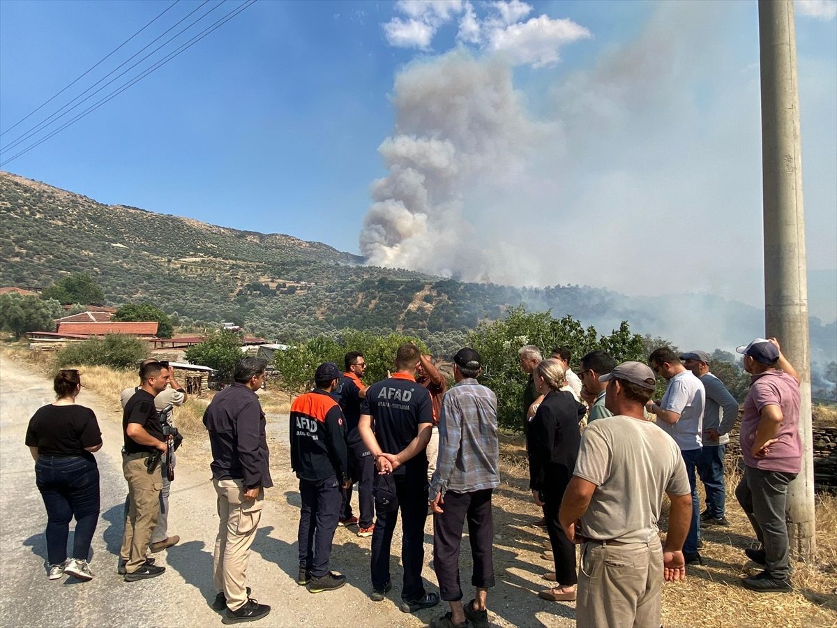Aydın’da zeytinlik ve otluk alanda yangın çıktı