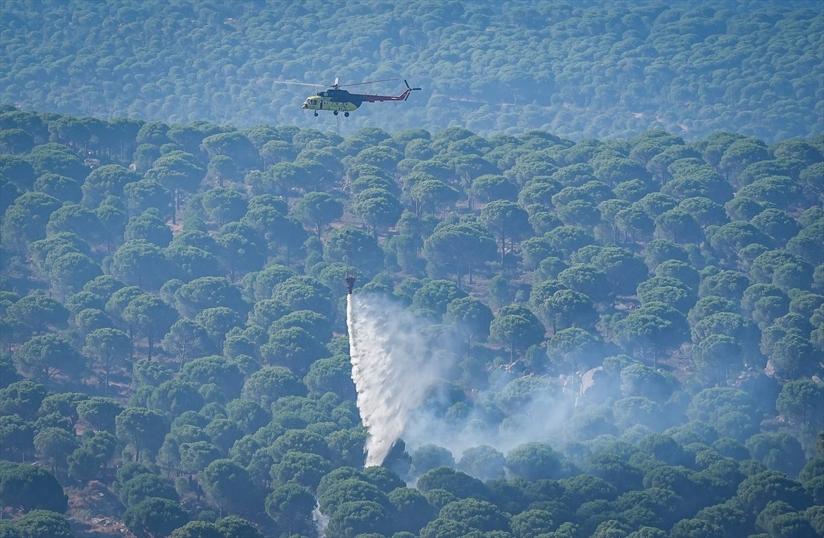 Balıkesir Gömeç’teki orman yangınına müdahale sürüyor