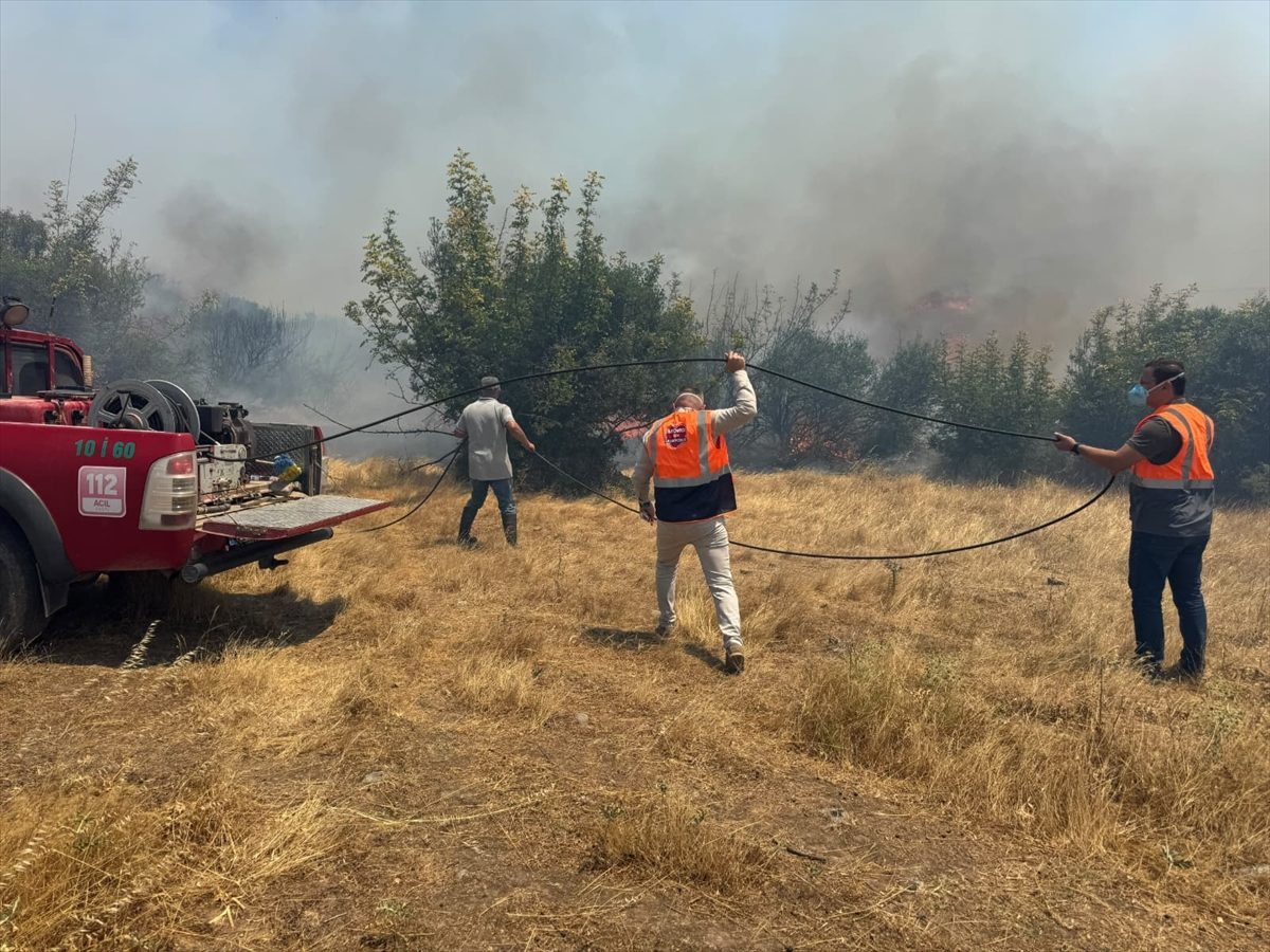 Balıkesir’in Sındırgı ilçesinde ormanlık alanda çıkan yangına müdahale ediliyor