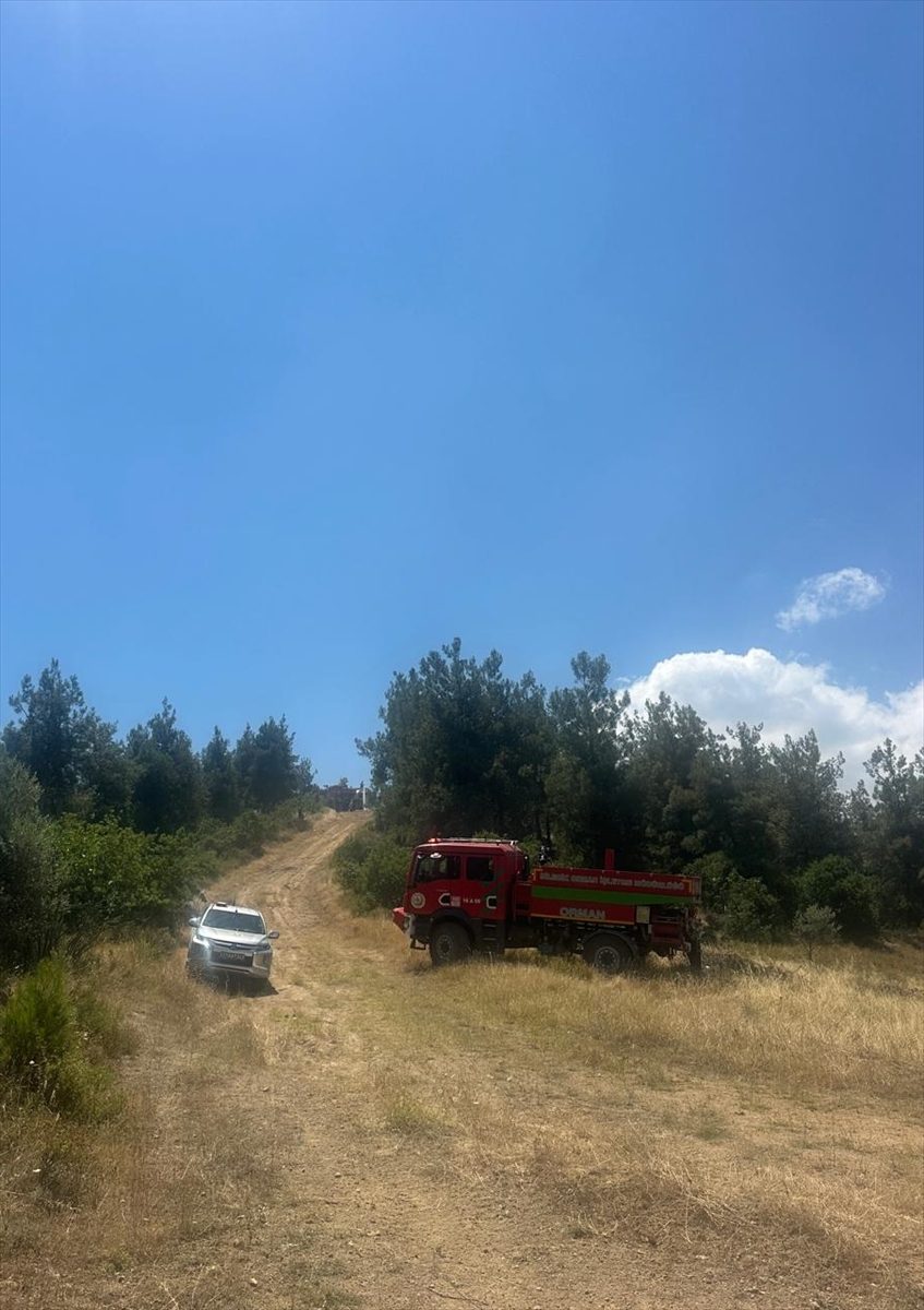 Bilecik’te çıkan orman yangını kontrol altına alındı