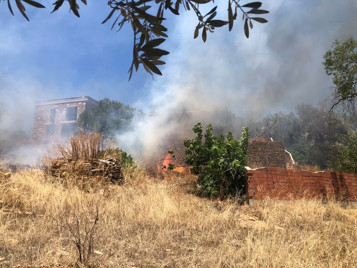 Bodrum’da çıkan orman yangını söndürüldü