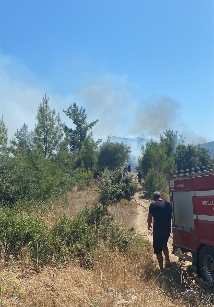 Bodrum’da makilik alanda çıkan yangın söndürüldü