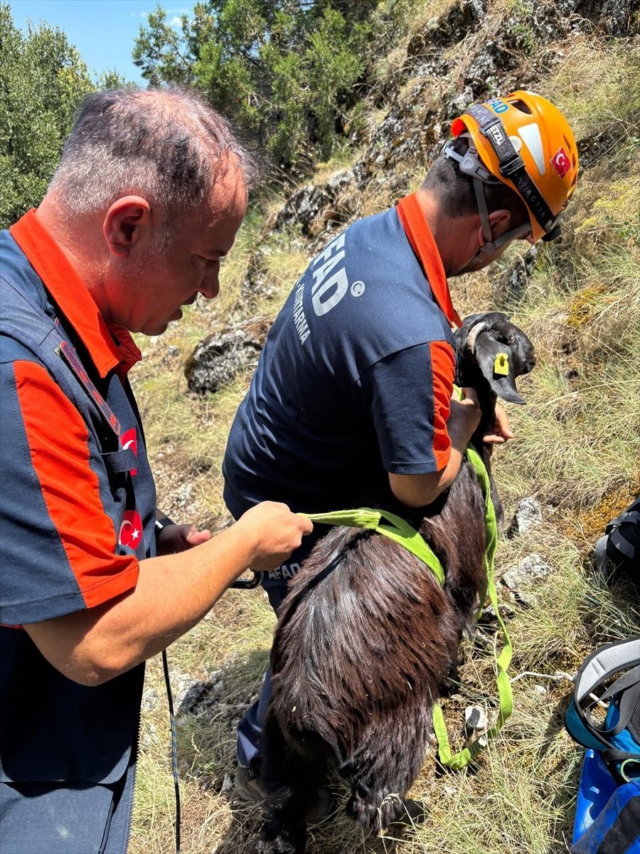 Burdur’da dağlık alanda mahsur kalan keçi kurtarıldı