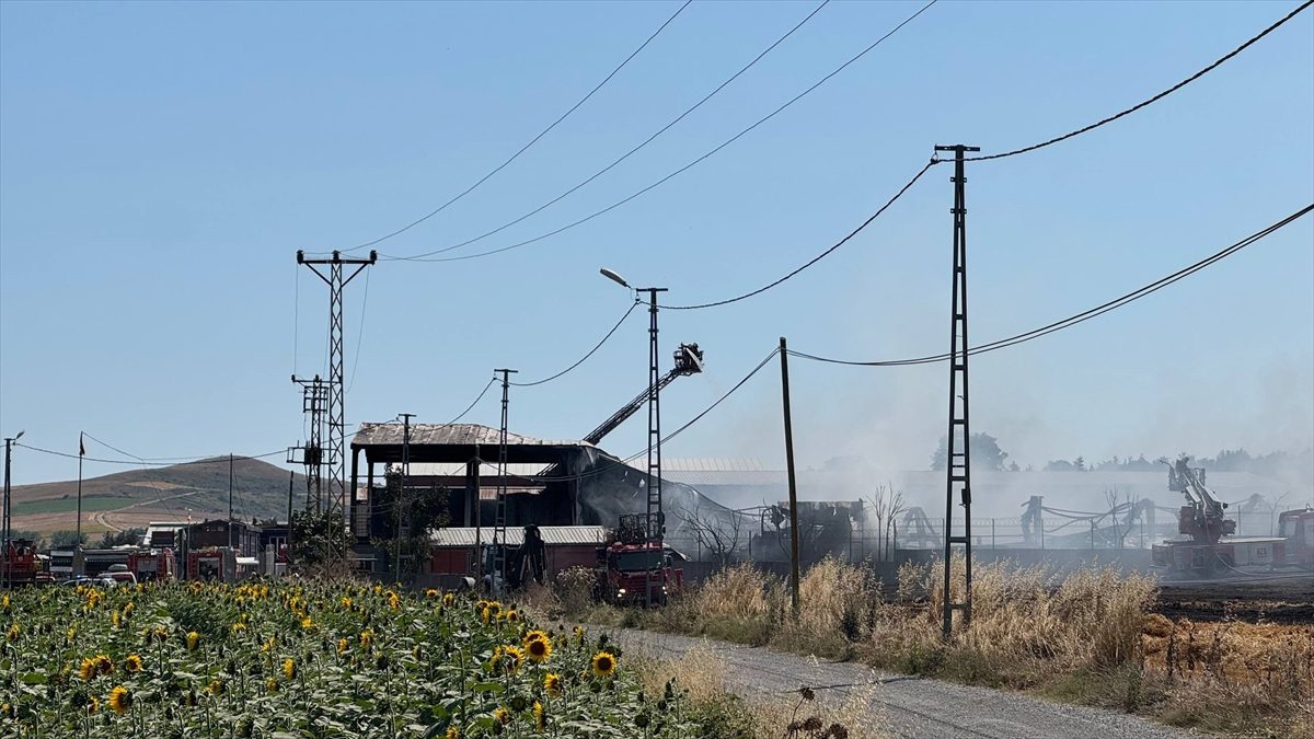 Çatalca’da fabrikada çıkan yangın otluk alana sıçradı